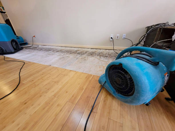 Professional Water Removal technician working in Rosedale, MS